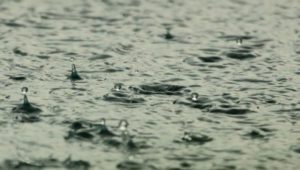 Какое значение у дождя